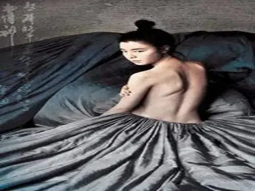 Portrait Of A Beauty (2008)